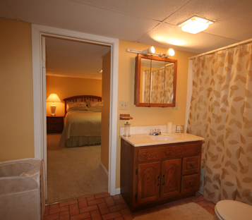 Downstairs bathroom 1.jpg