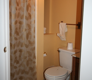 Downstairs bathroom 2.jpg