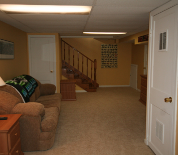 Downstairs den 1.jpg